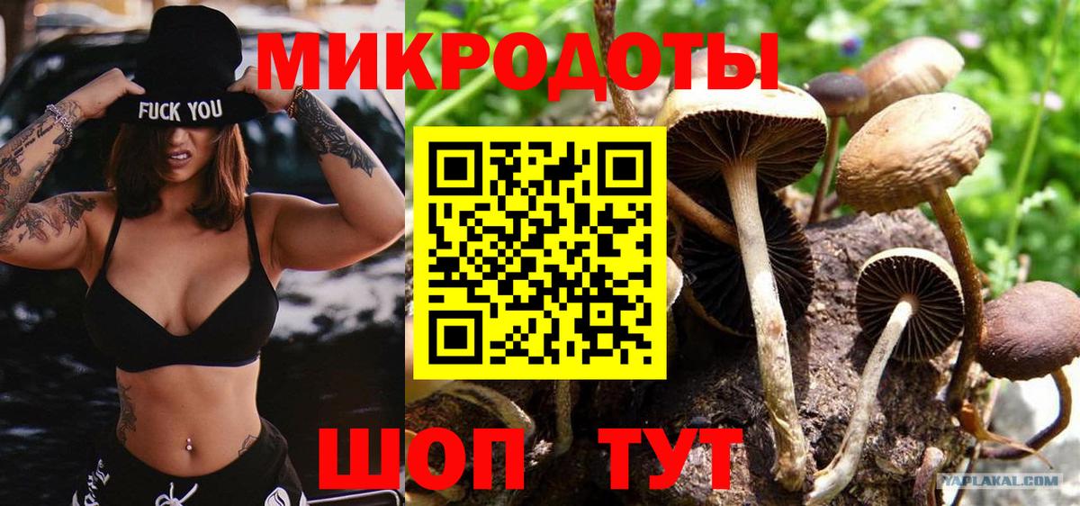 сколько стоит  Галлюциногенные грибы Psilocybine cubensis  Вход с VPN  Северобайкальск 